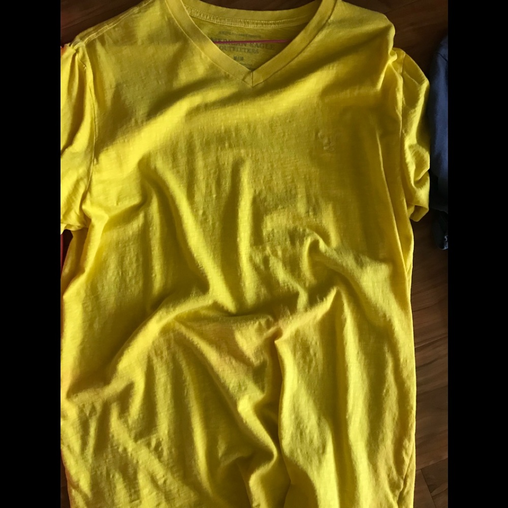 American Eagle v neck